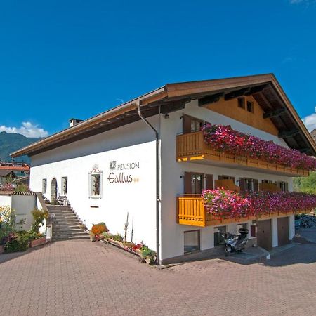 Pension Gallus Laces Exterior photo