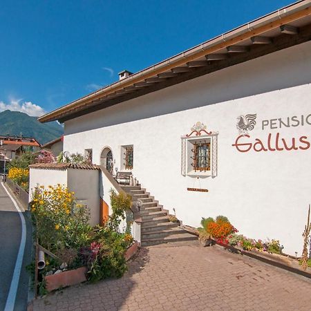 Pension Gallus Laces Exterior photo